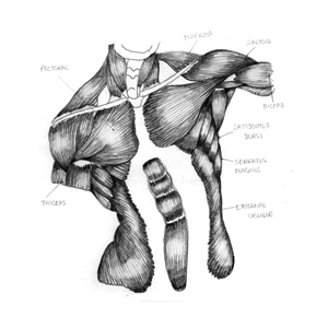 drawing by Iona June