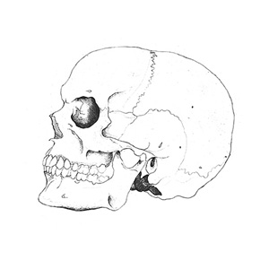 drawing by Iona June