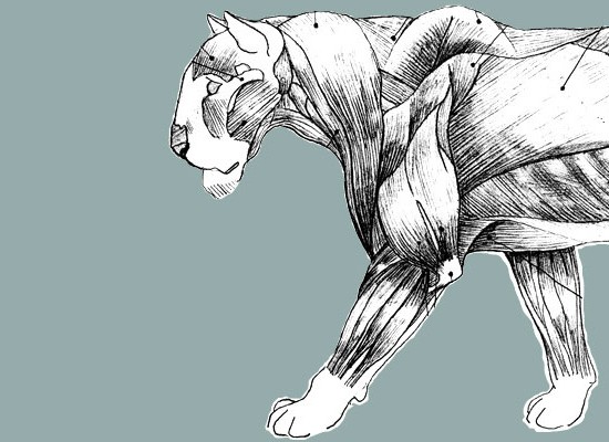 drawing by Iona June