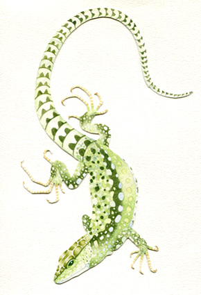 illustration © Iona June