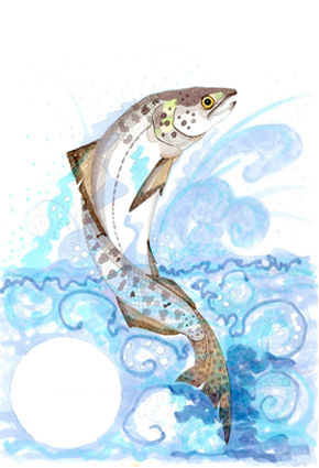 illustration © Iona June