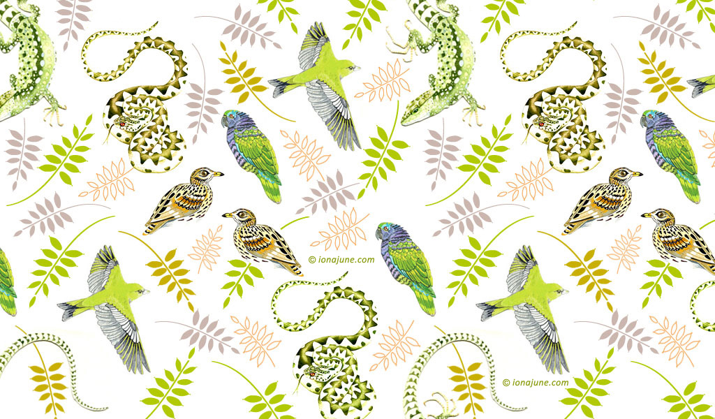 Wildlife watercolours illustrations © Iona June