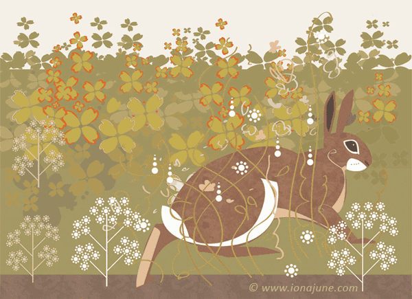 illustration © Iona June