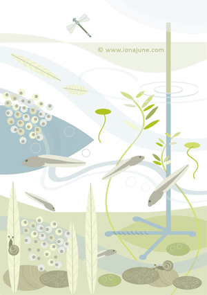 illustration © Iona June