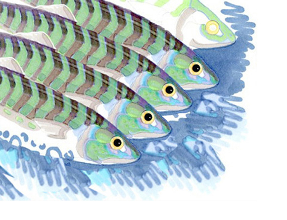 Food illustration by Iona June