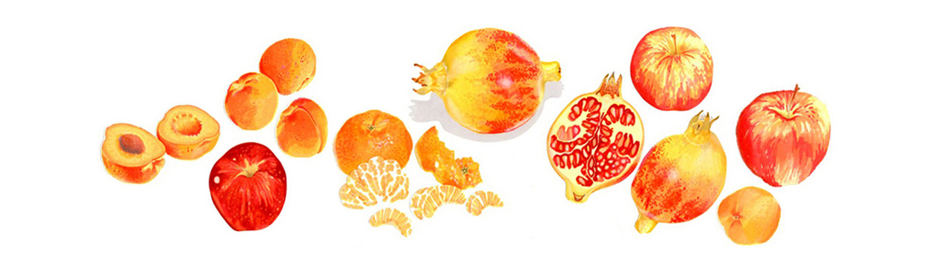 Food illustrations by Iona June