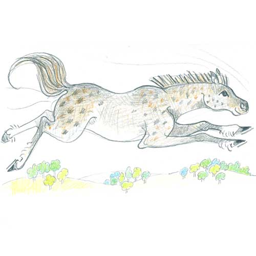 drawing by Iona June