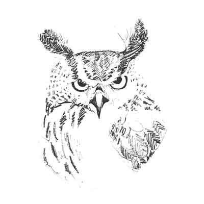 drawing by Iona June