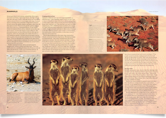 Deserts book design Deserts book design