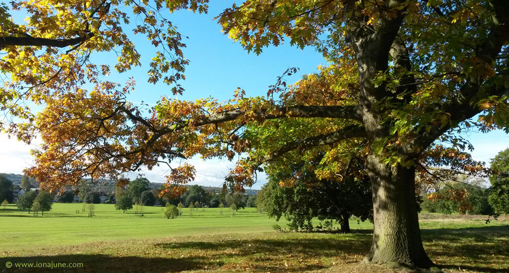 Caring for the Earth