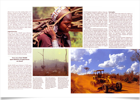 Caring for the Earth