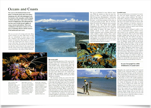 Caring for the Earth