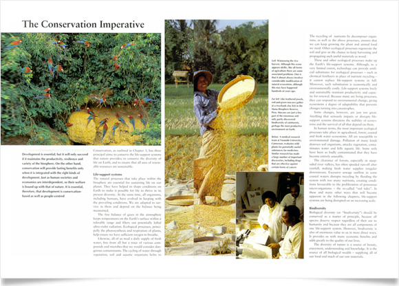 Caring for the Earth