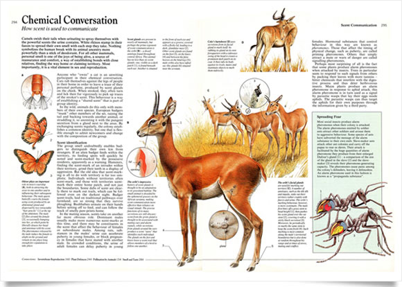 Nature encyclopedia