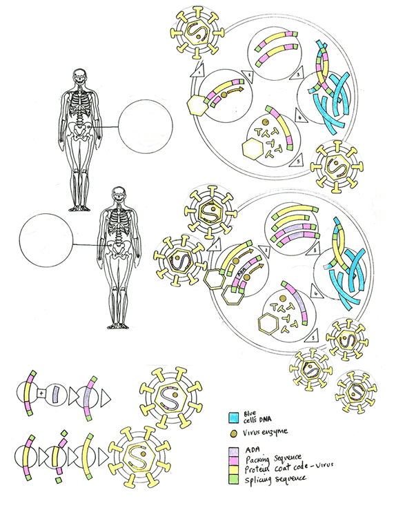 Science encyclopedia