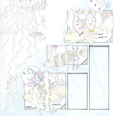 Infographic ‐ Catching fish