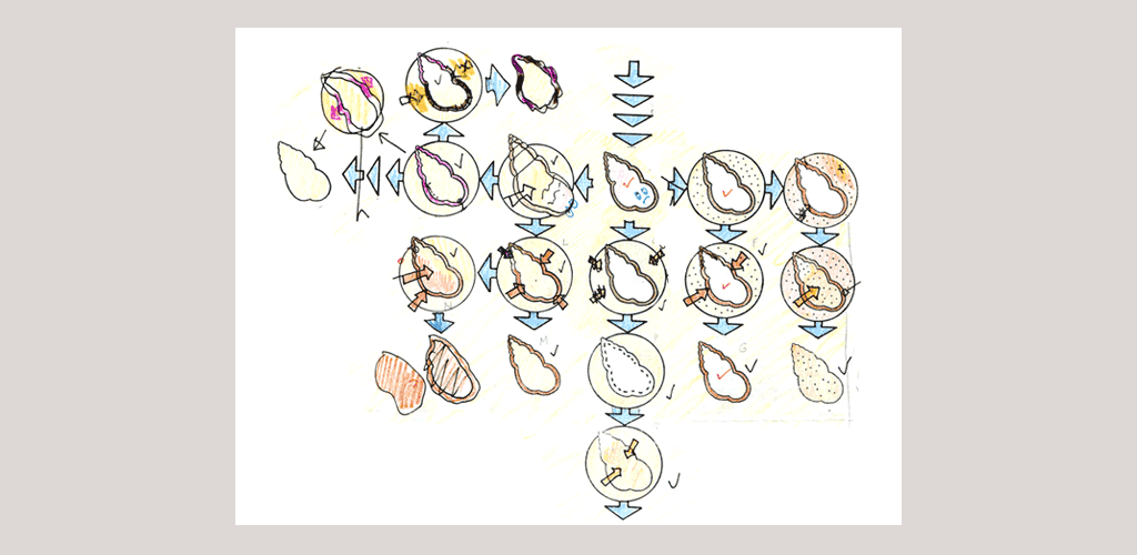 How shells form into fossils How shells form into fossils