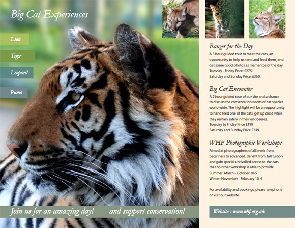 Big Cats leaflet