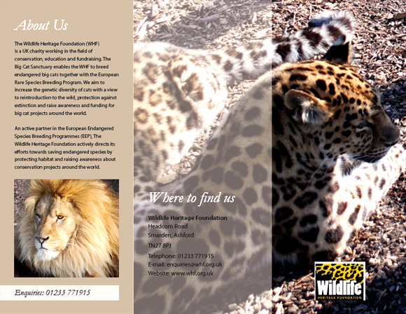 Big Cats leaflet