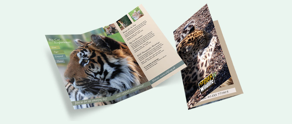 Big Cats leaflet