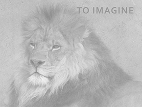 Adopt a Lion