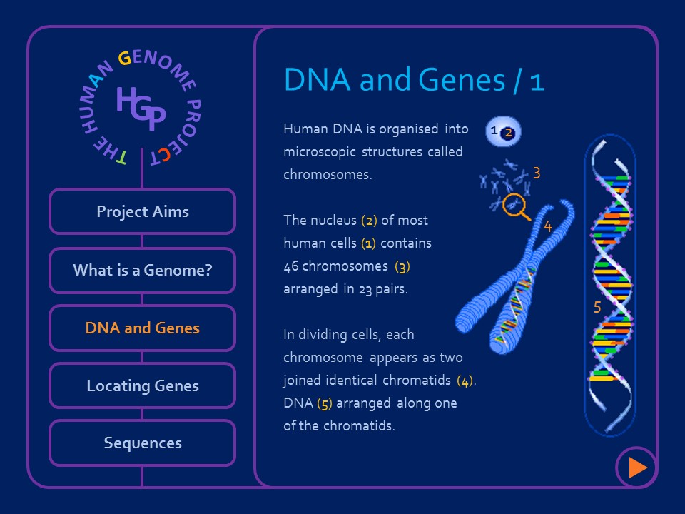 Human Genome Project