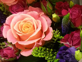 Photograph © Iona June