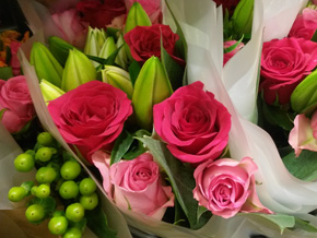 Photograph © Iona June