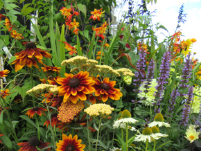 Photograph © Iona June