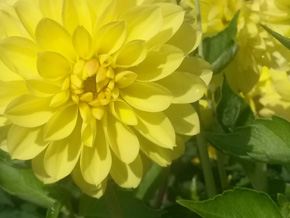 Photograph © Iona June