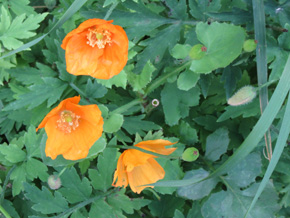 Photograph © Iona June