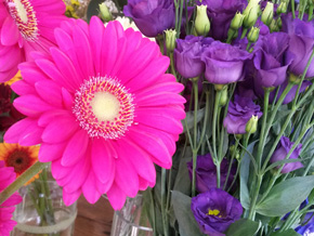 Photograph © Iona June