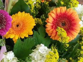 Photograph © Iona June