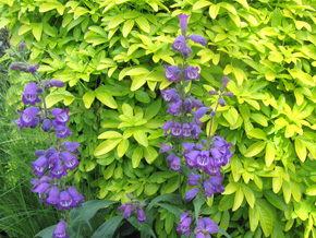 Photograph © Iona June