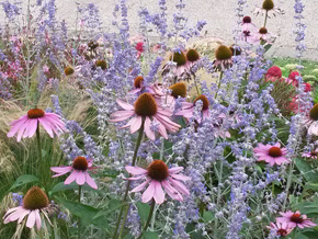 Photograph © Iona June