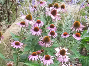 Photograph © Iona June