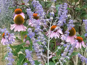 Photograph © Iona June