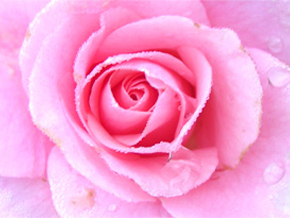 Photograph © Iona June