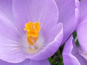 Photograph © Iona June