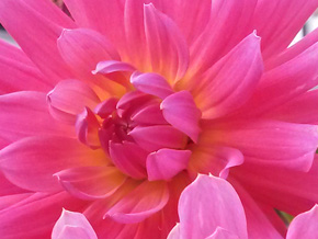 Photograph © Iona June