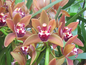 Photograph © Iona June