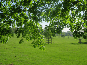 Photograph © Iona June