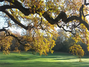 Photograph © Iona June