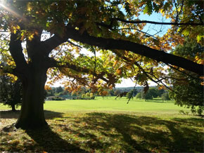 Photograph © Iona June