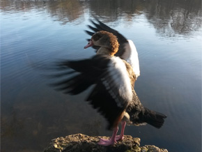 Photograph © Iona June