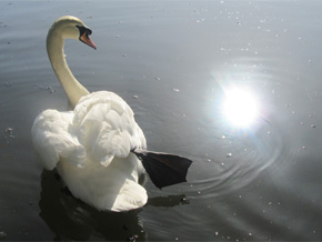 Photograph © Iona June