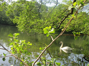 Photograph © Iona June