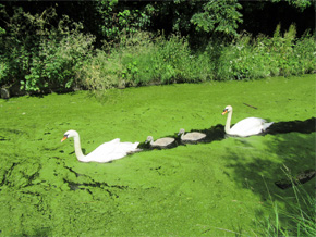 Photograph © Iona June