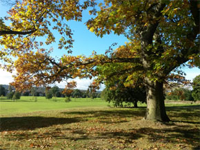 Photograph © Iona June