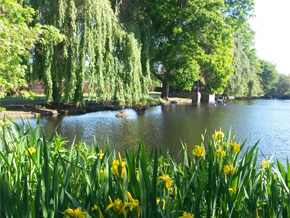 Photograph © Iona June